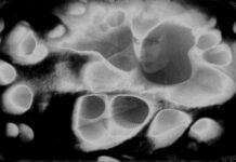 Ας δούμε με το εσωτερικό μάτι του μυαλού μας!