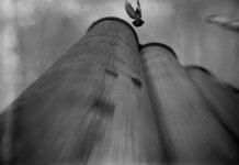 Ο πολύπλευρος Φάνης Λογοθέτης στην gallery Art Zone 42.