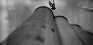 Ο πολύπλευρος Φάνης Λογοθέτης στην gallery Art Zone 42.