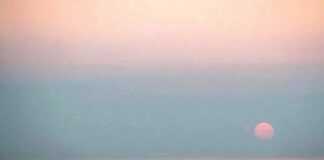 Μπετόν, Τόμας Μπέρνχαρντ