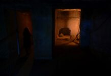 Οπτική αντίληψη