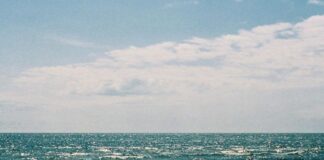 |Τζελαλεντίν Ρουμί