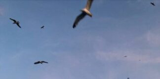 Ποίημα άτιτλο, Λευτέρης Χονδρός