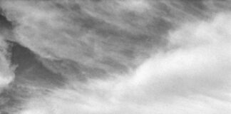 Η Αρκούδα, Σοφία Σταθάκη