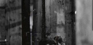 Ανόητη θα με περάσει ο κόσμος, Σοφία Σταθάκη