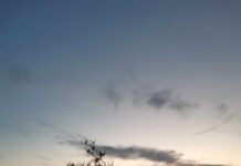 ΜΕΣΆΝΥΚΤΑ (Ι), Απόστολος Κωνσταντινίδης