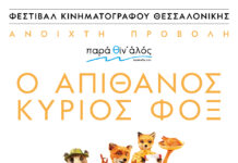 Κινηματογραφικό πικ νικ για μικρούς και μεγάλους