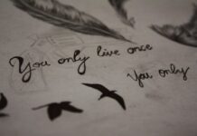 Stay close to the beauty, Ντίνα Μπαγιώτα