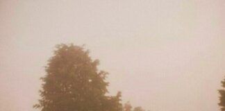 |Guillaume Apollinaire