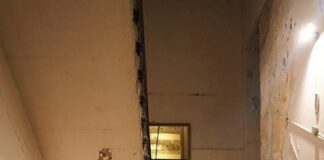 Προσπάθεια απόδρασης, Δημήτρης Παπαλιάς