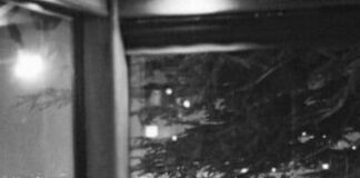 |Γιάννης Ζέρβας