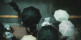 Η τέχνη της ζωής, Παναγιώτης Ρεγκούκος