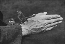 Μέρος Εικοστό πέμπτο