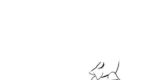 Κράτα με σφιχτά, Sue Johnson