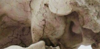 Το βιβλίο που θα ήθελες να είχαν διαβάσει οι γονείς σου, Philippa Perry Επαφή Συναίσθημα Ψυχολογία Philippa Perry Ologramma