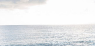 Μαντάμ Μποβαρύ, Γκουστάβ Φλομπέρ