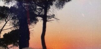 Καλοκαίρι στο “Σεβτάπ”, Θωμάς Κοροβίνης