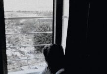 Λάθος βιογραφικό, Σταύρος Σταυρόπουλος