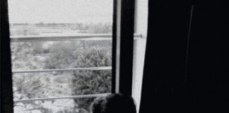 Λάθος βιογραφικό, Σταύρος Σταυρόπουλος