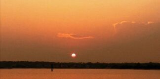 Χαμηλοφώνως, Δ. Π. Παπαδίτσας