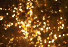 Αγάπη, Μάνος Λαμπράκης