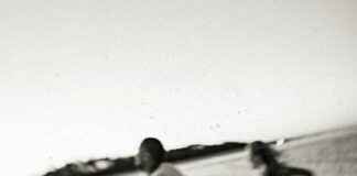 Η κυρία Βλαντιμνίρ Νάμπόκωφ, Stacy Schiff