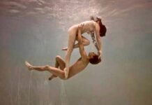 |Σταύρος Σταυρόπουλος