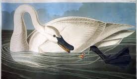 “Τα Πρωινά”