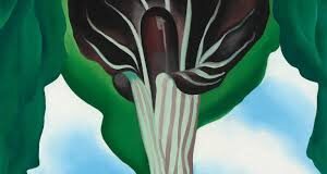 Στο νησί της Αφροδίτης