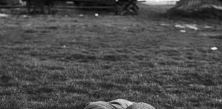 |Έλεν Κέλερ