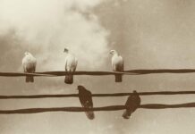 Προς Κορινθίους