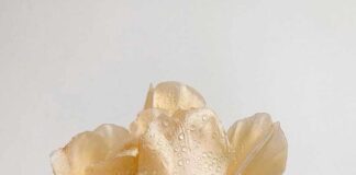 Σατόρι ή Η Στιγμή της Φωτοσύνθεσης, Μανόλης Πρατικάκης