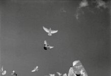 Πάσχα και Μετάβαση: Η Ψυχοθεραπευτική Διάσταση του Περάσματος