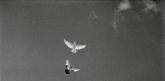 Πάσχα και Μετάβαση: Η Ψυχοθεραπευτική Διάσταση του Περάσματος